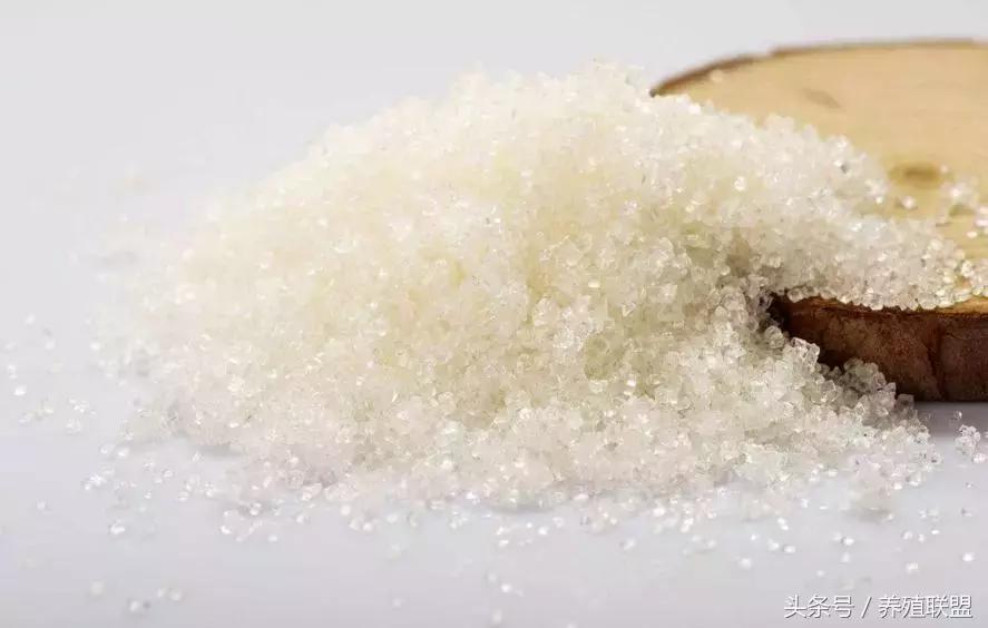 糖价再现4字头，蔗农安好？