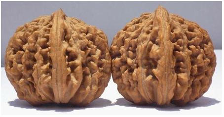 文玩核桃可以带到室外盘玩吗,文玩核桃红宝石盘玩后效果图