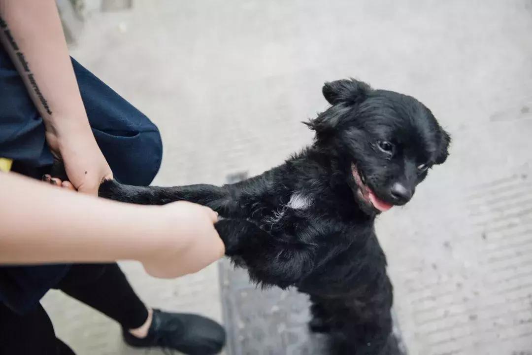 找到适合你的穿搭,找到了适合自己的穿搭风格