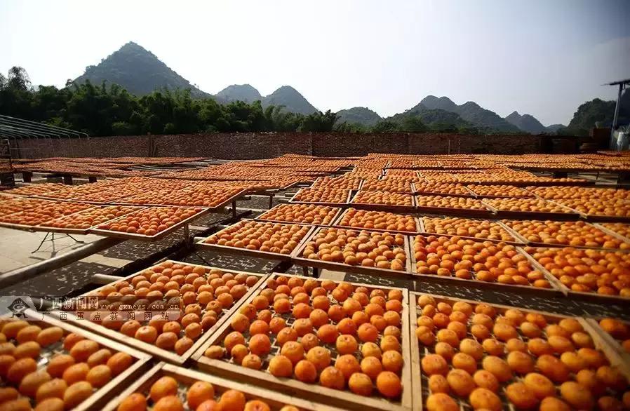 恭城是不是气候宜居城市,恭城气候宜居