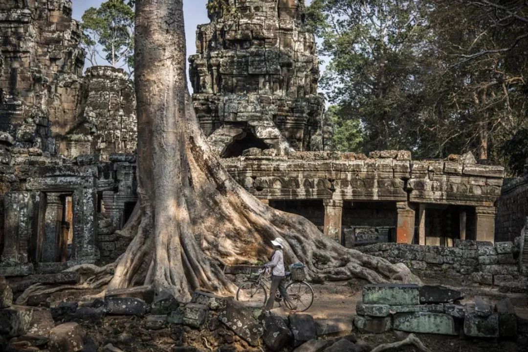 安缦东京度假村,东京安缦度假村
