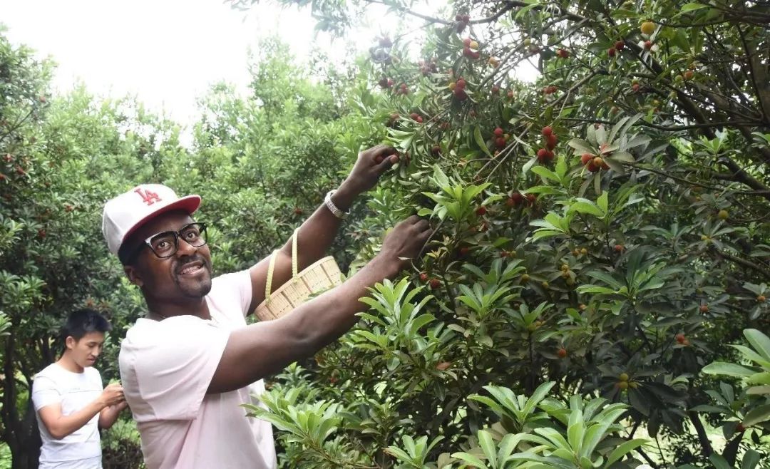 古蔺最近有什么活动,古蔺这几天哪里有活动