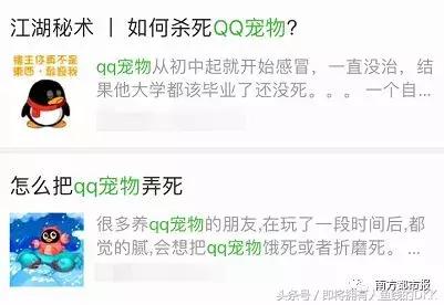qq宠物退市在哪里兑换q币,qq宠物新人领q币多久过期