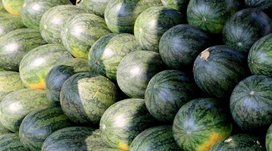 全国的西瓜哪里的最好吃,中国什么地方西瓜最好吃