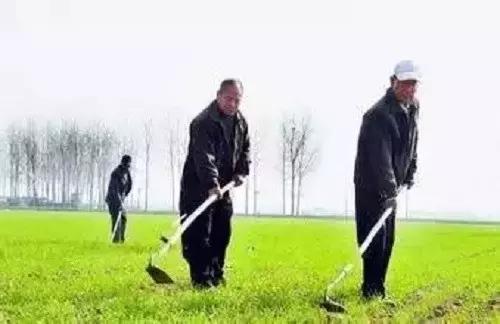 种土地吉祥话顺口溜教程,种好地需要什么知识