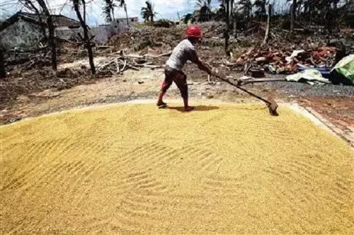 种土地吉祥话顺口溜教程,种好地需要什么知识