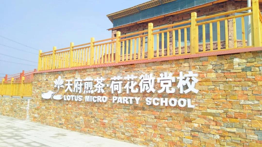 成都天府新区田园综合体,天府新区中西田园综合体项目