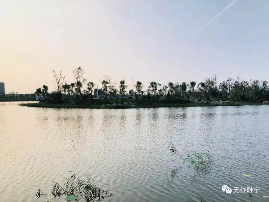 睢宁湿地公园游泳,睢宁室内公园水上乐园