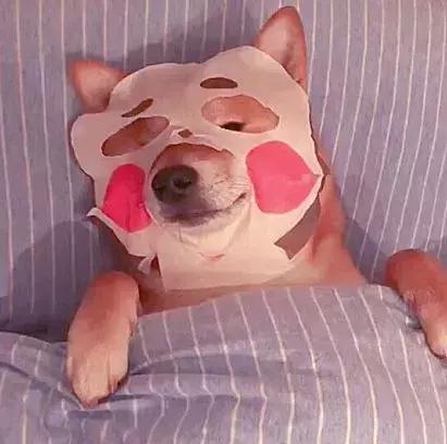 药妆推荐日本生活用品,日本药妆必备居家好物