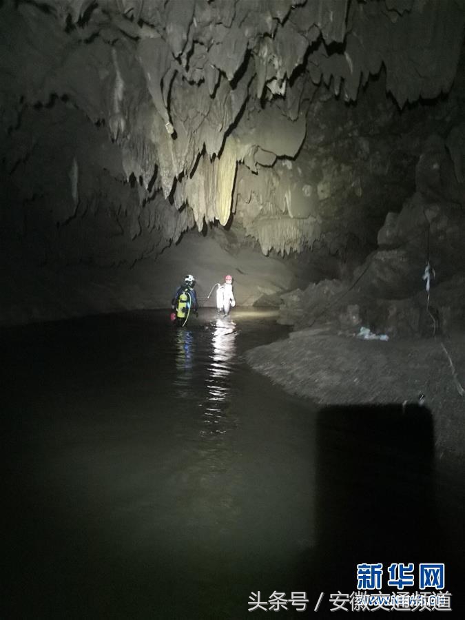 百日行动重点违法行为专项曝光,合肥百日行动严查什么