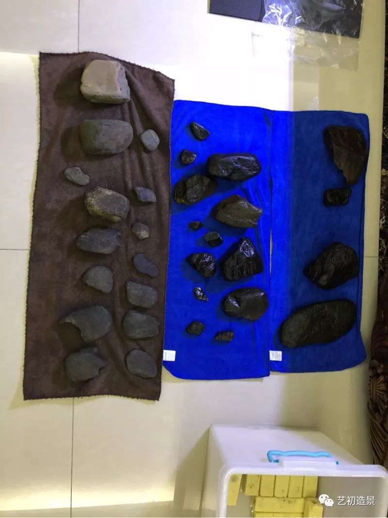 虾虎缸造景要什么过滤器,虾虎缸用什么石头造景好