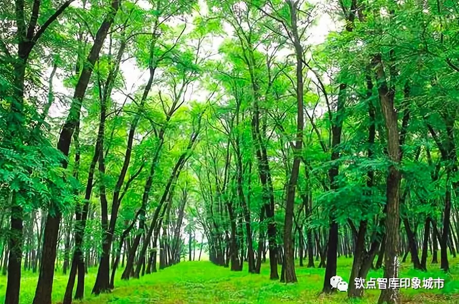 宝坻区哪几个镇最好,宝坻哪里风景最好