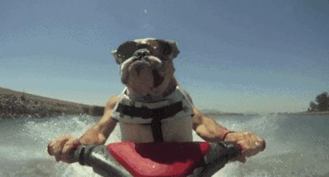 因卖假名庄酒法国前足球运动员ChristopheRobert被判刑