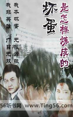 那些年看过的经典小说——《坏蛋1》六道著