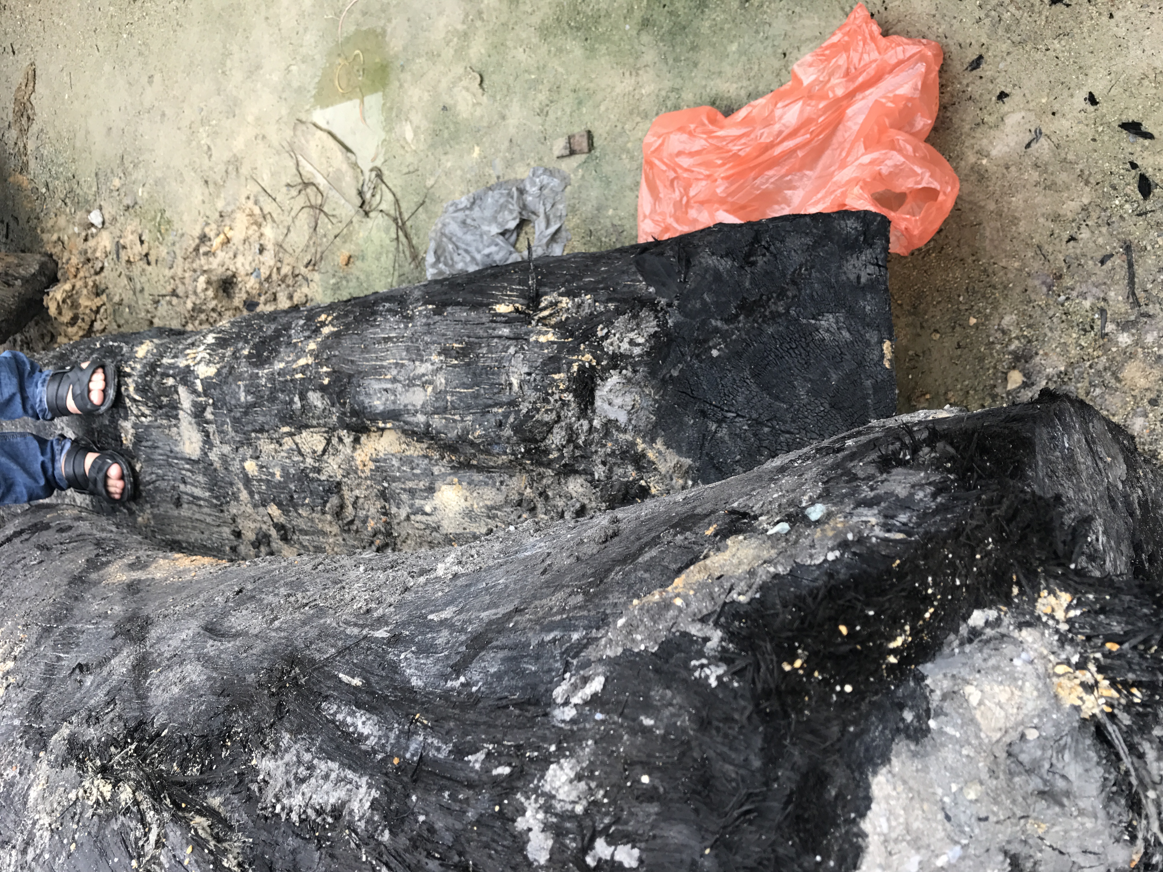 乌木佛珠手串怎么盘,手工金丝楠木佛珠手串图