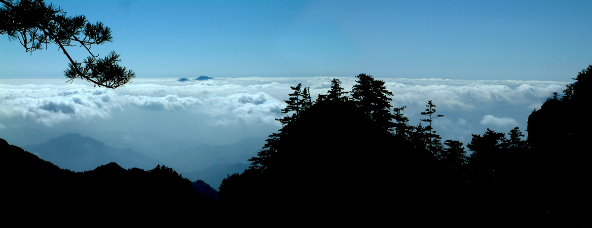 白云山森林氧吧图片,栾川白云山森林氧吧