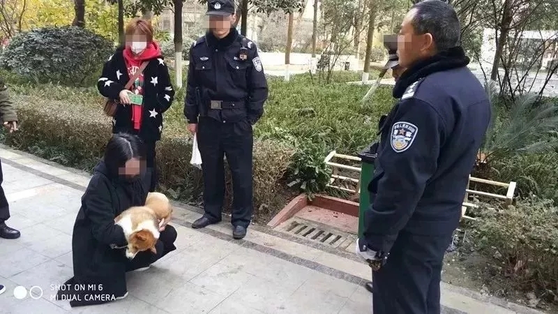 拾到手机不归还犯法吗,手机丢失拒不归还怎么办