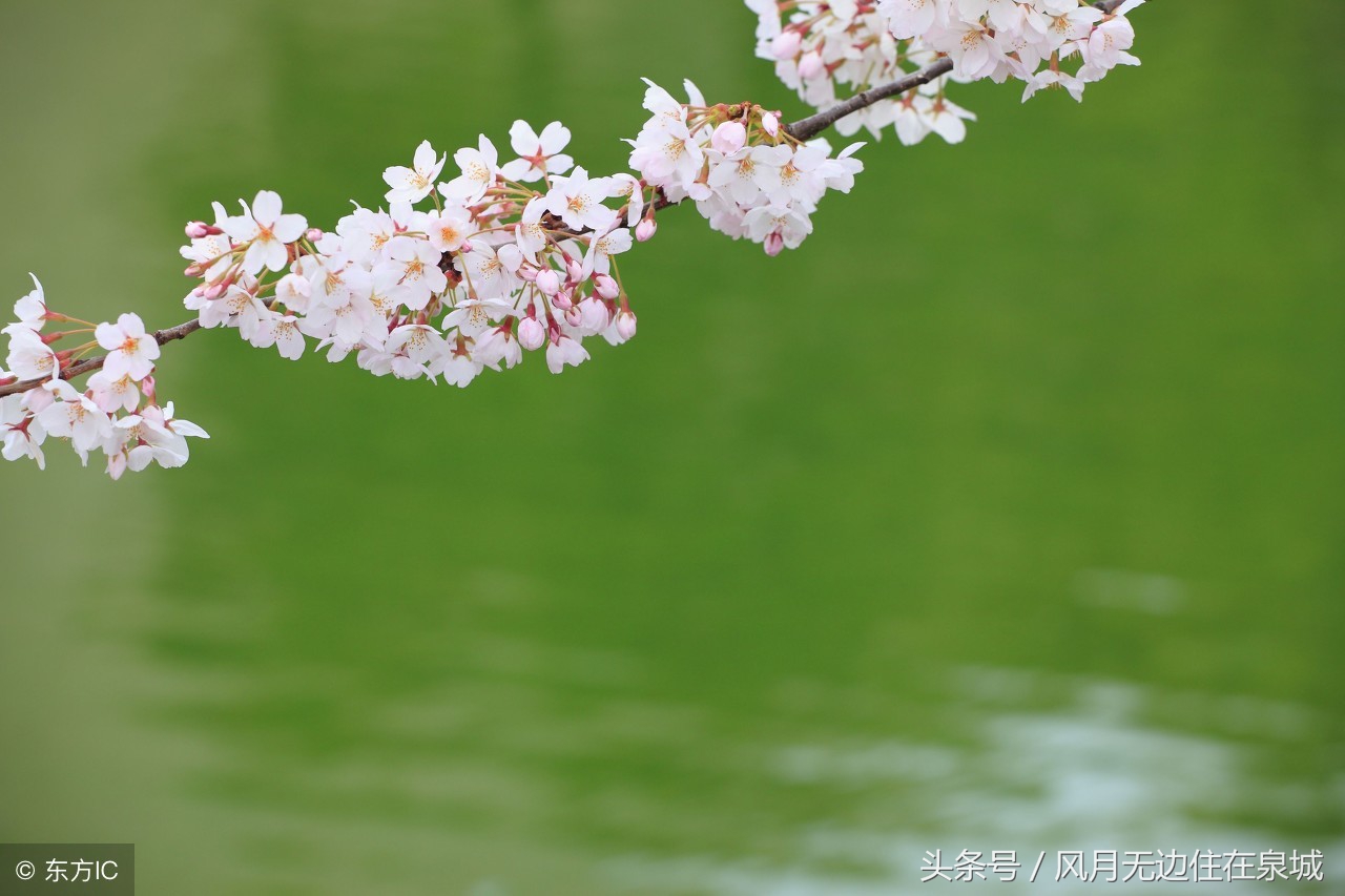 明年起哪些费用全部取消,3月1日起哪些费用全部取消