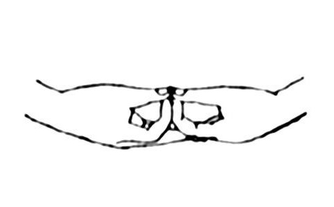 阿弥陀佛手印符号,阿弥陀佛手印用灌顶吗