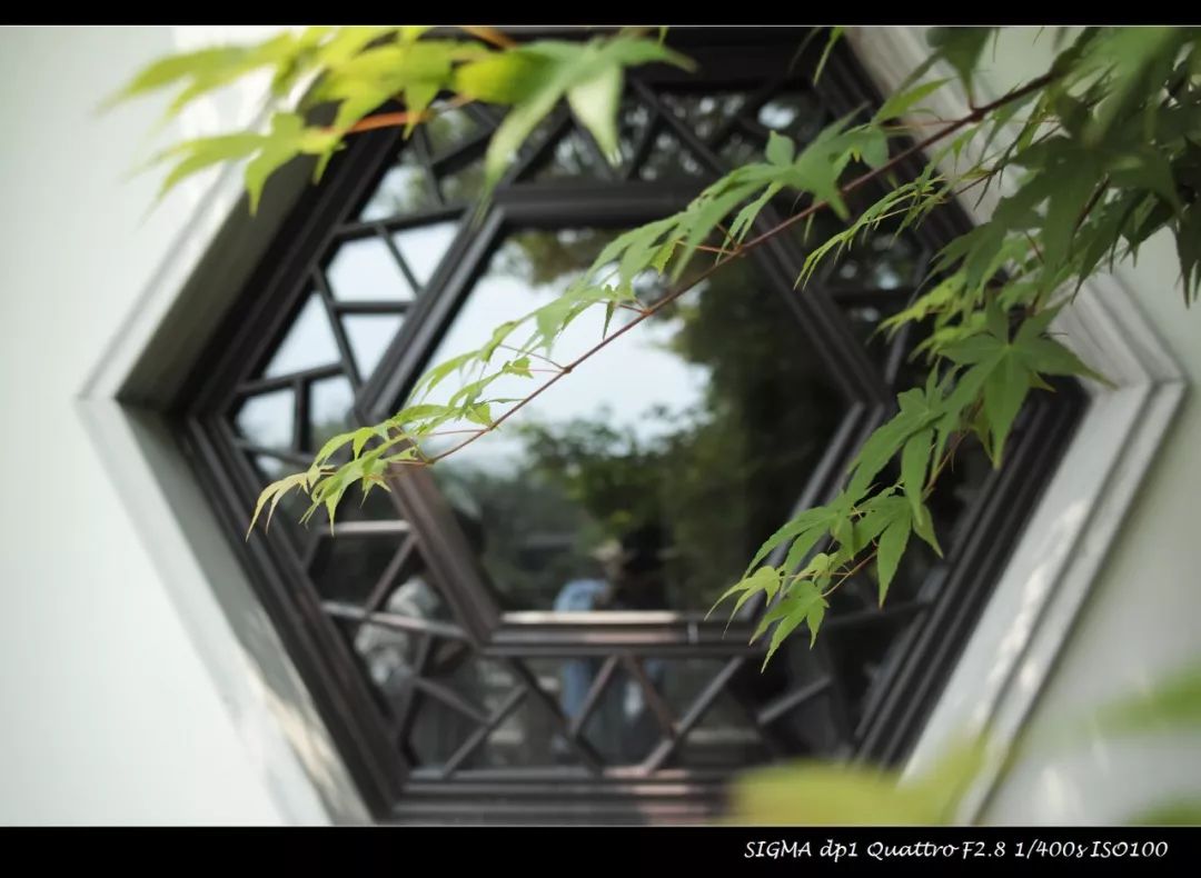 适马dp1q拍摄效果,适马dp1m和1q有什么区别