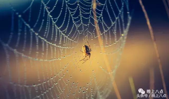 大家谈中国篮球,大家谈世界杯