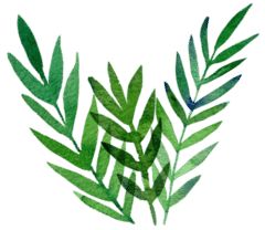 掏耳屎的正确方式,你还在用传统的方式掏耳屎吗