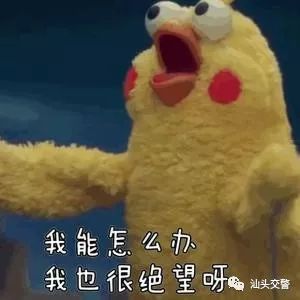 为逃避处罚货车司机各种伪装车牌,为躲处罚遮号牌聪明反被聪明误