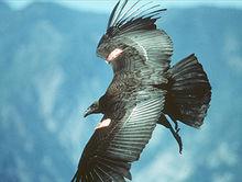 匡姐｜故事改结尾了——续球队昵称的故事