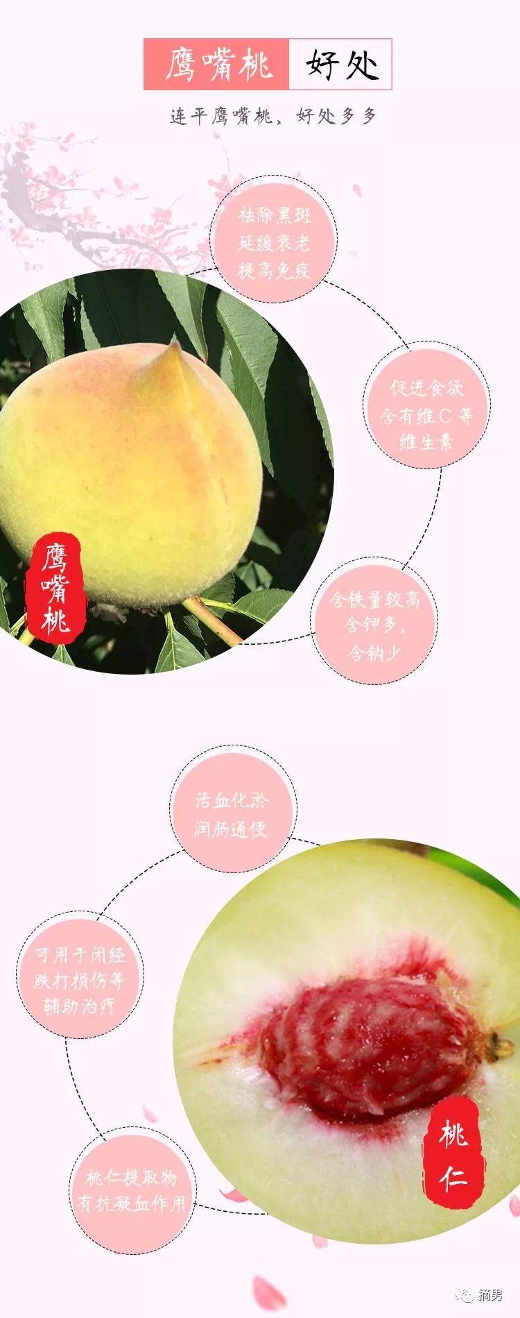 又脆又甜连平鹰嘴桃,连平正宗鹰嘴桃