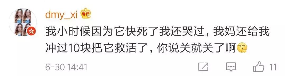 QQ宠物停运｜“主人你要好好的，我先走了”