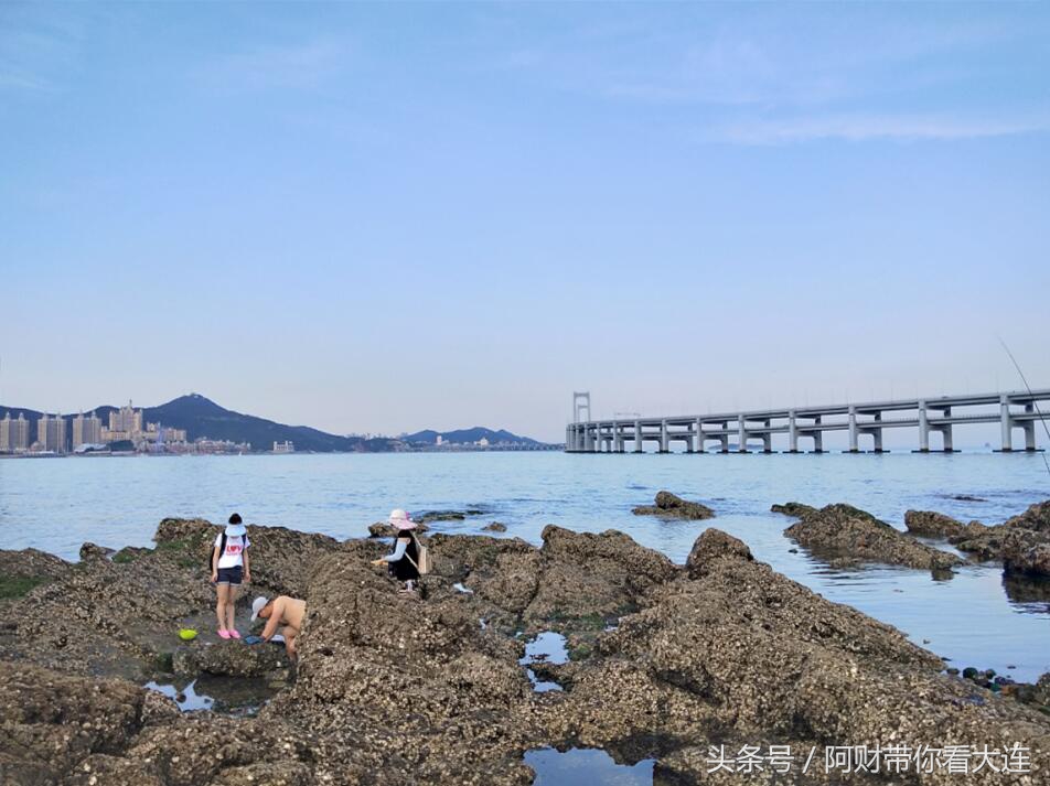 在大连想看海去哪,想去大连赶海去哪里