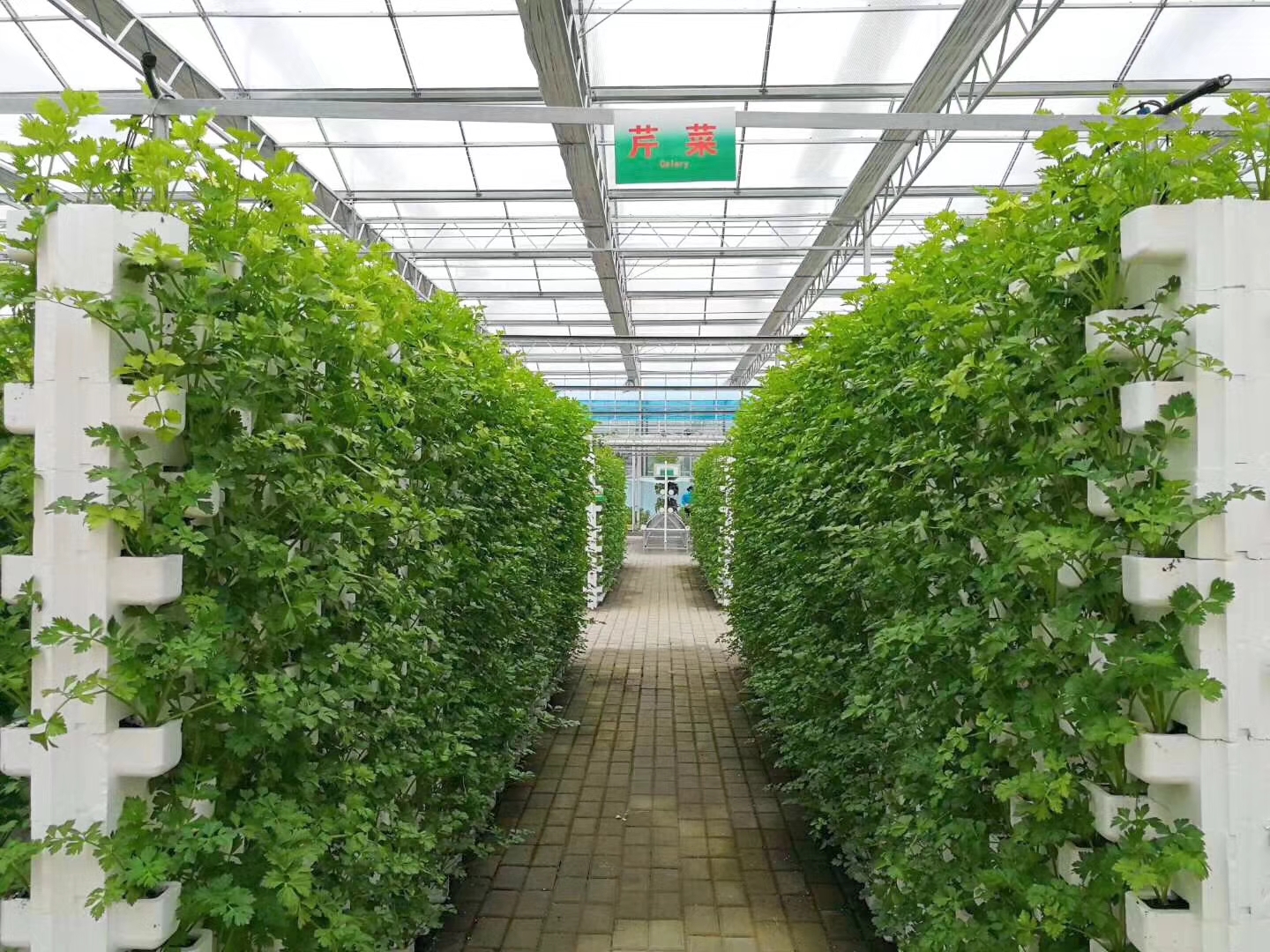 现代农业融合新模式,打造田园综合体共享农业新模式