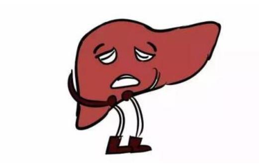 5种营养素对肝脏有好处,因药物引起的肝损伤用什么护肝药