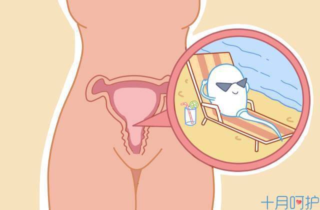 比较难怀孕的人怎么可以快速怀孕,快速怀孕最靠谱的办法