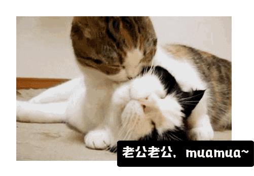 女朋友接吻时老是把舌头伸进我嘴里，很恶心……