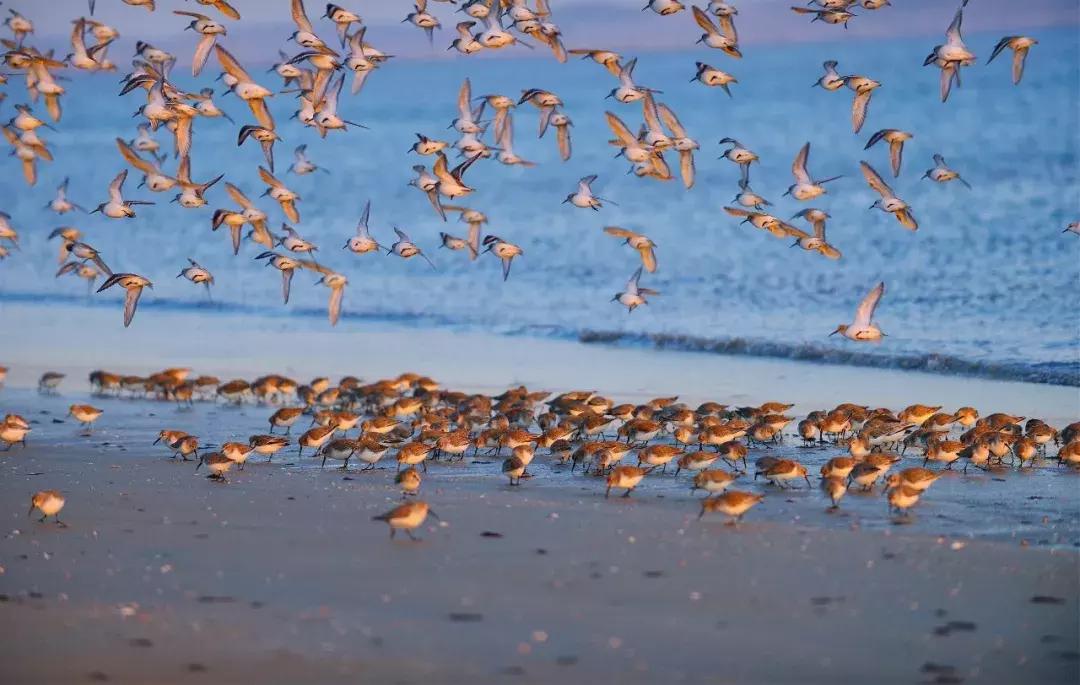 威海市南海新区有啥好玩的,威海南海新区有哪些地方