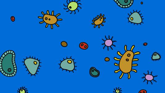 熬夜修仙大法,熬夜修仙党必备神器