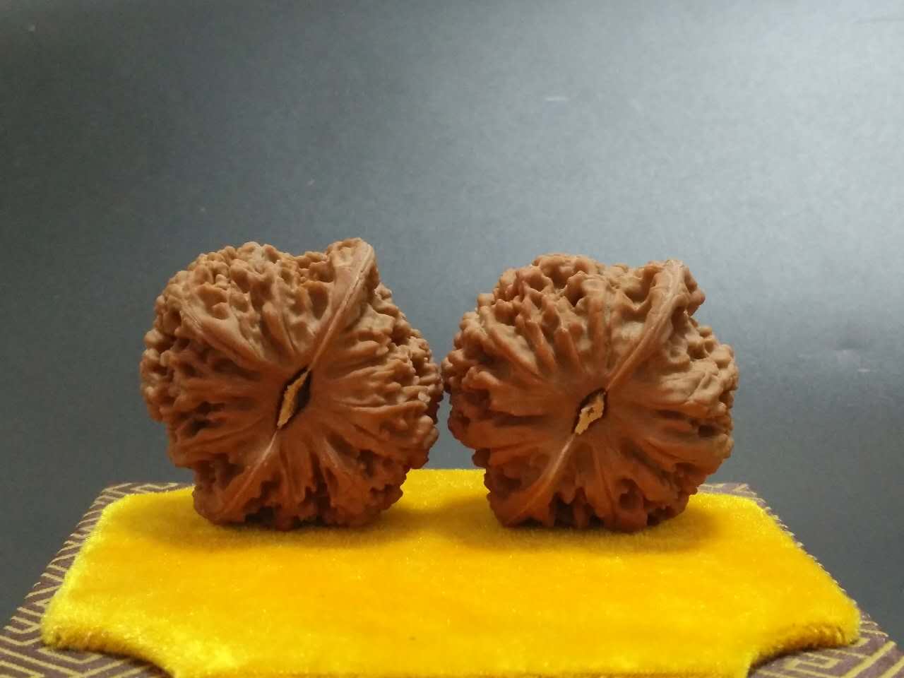 文玩核桃满天星狮子头的价钱,满天星狮子头核桃多少钱一对