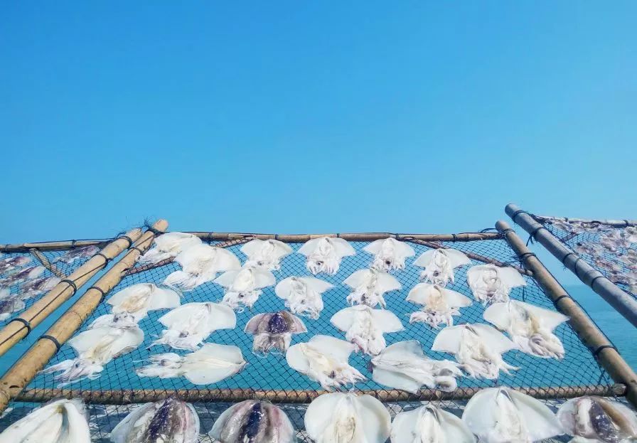 秒杀鼓浪屿,媲美玻利维亚!国内这个小岛凭什么C位出道?