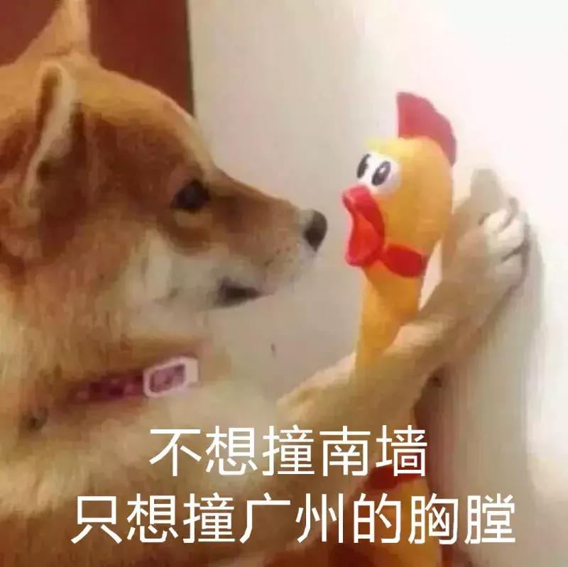 哈哈哈嗝韩语,哈哈哈嗝潮汕话