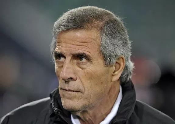 乌拉圭足球世界杯巅峰时期,聚焦世界杯法国