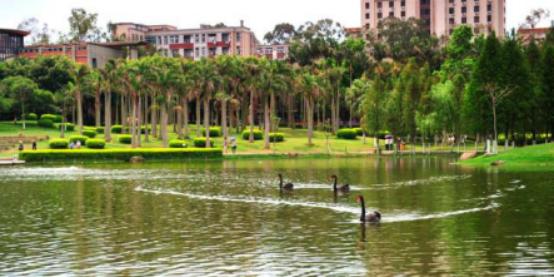 厦门去三亚旅游攻略必去景点,厦门三亚旅游攻略必去景点