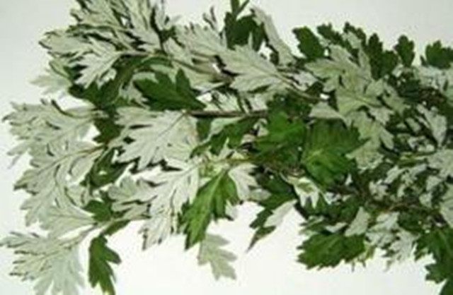 女性有宫寒不妨来点这五种食物,女人宫寒多吃三种食物