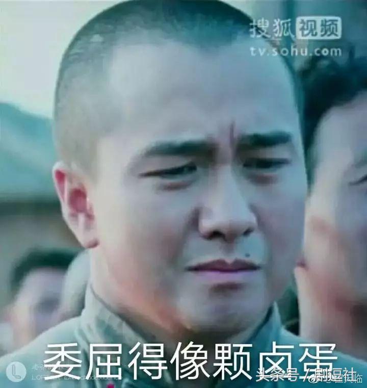 朱一龙王嘉尔图鉴 (朱一龙连续29天唯一破九)