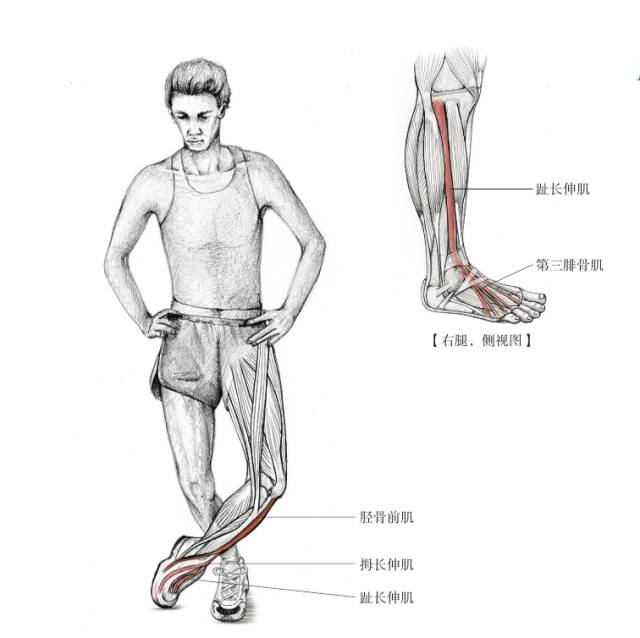 防止脚踝扭伤的小妙招,避免脚踝受伤的一个动作