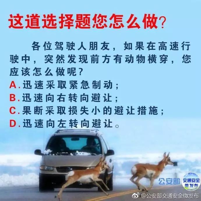 高速知识贴,高速撞死小动物怎么化解