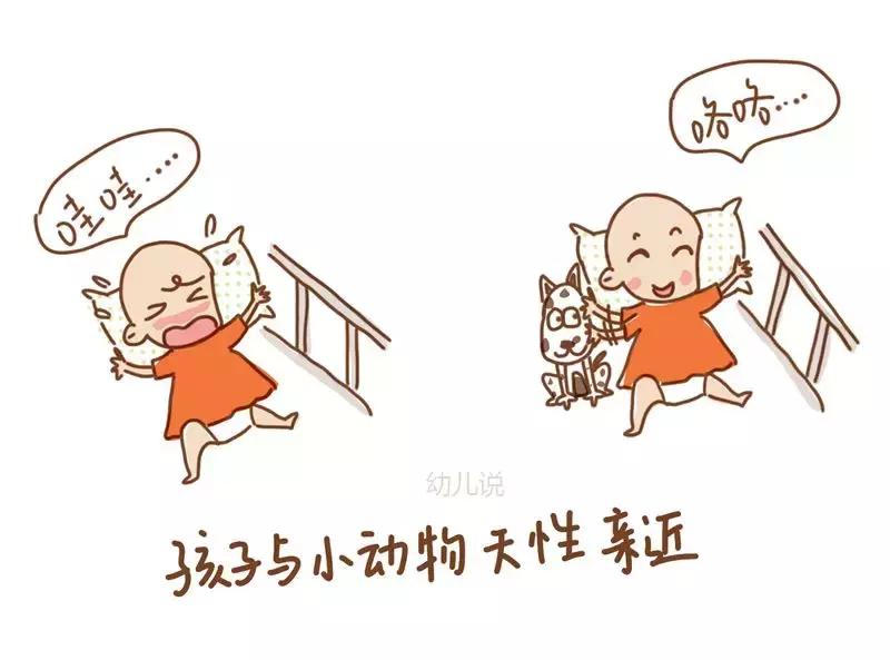 孩子的宠物死了怎么安慰,宠物死了让孩子懂得生命的脆弱