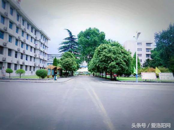 再见再见渡边淳一小说简介,再见原作