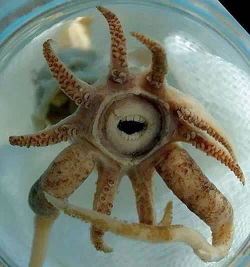 日照有什么好玩的地方,日照金山