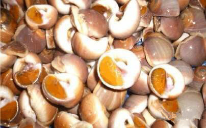 日照有什么好玩的地方,日照金山